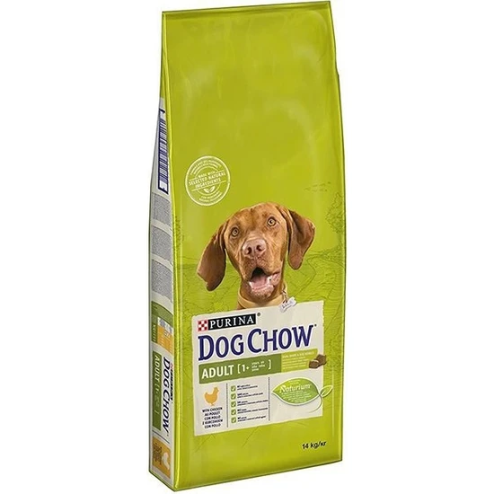 Köpek